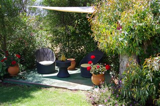 Terrace near fish pond